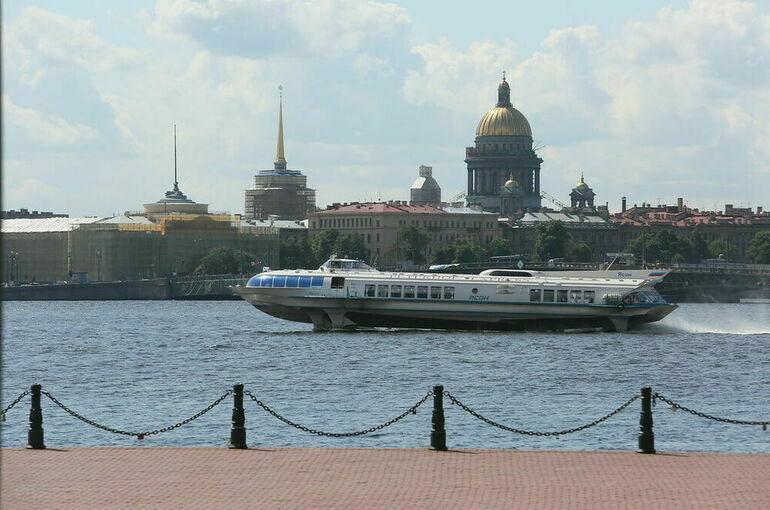В Санкт-Петербурге обработали 99,95% протоколов на выборах Президента РФ