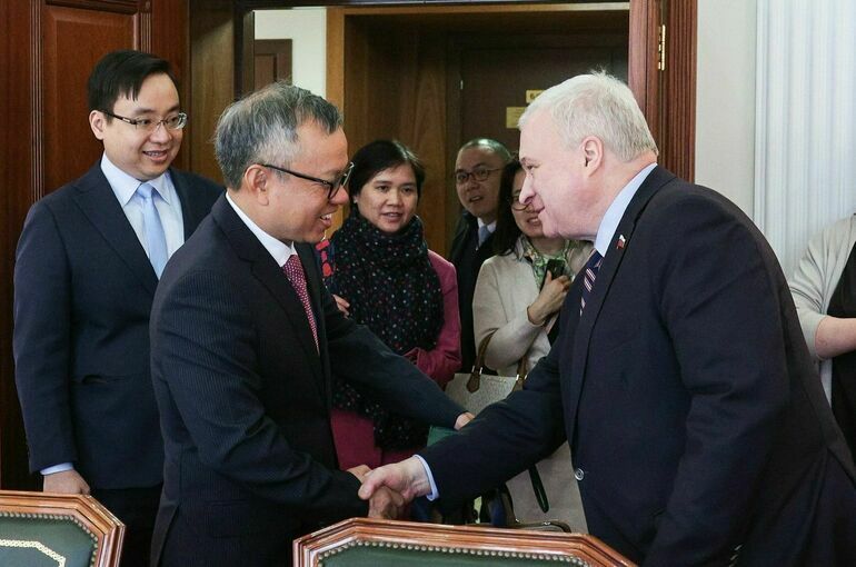 Сенатор Денисов обсудил с вьетнамским коллегой работу международных наблюдателей