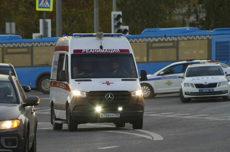 Двух мертвых младенцев нашли на насосной станции в Новой Москве