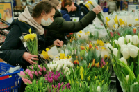 Минсельхоз поддержал предложение о повышении импортных пошлин на цветы
