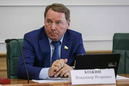 Сенатор Кожин прокомментировал возможность вернуть смертную казнь