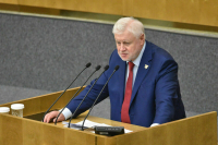 Миронов предложил провести референдум о смертной казни для террористов