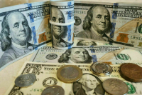 Бюджетные учреждения хотят штрафовать за просрочку отчетности по валютным операциям