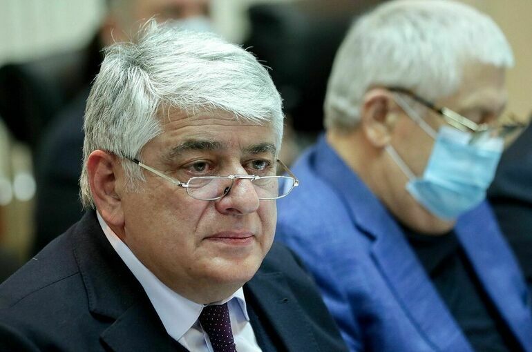 Аршба: Все депутаты подали декларации о доходах в положенный срок