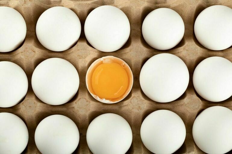 ФАС проверит торговые сети на предмет сговора при введении цен на яйца