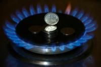 Комитет Совфеда поддержал ужесточение штрафов за недопуск газовщиков в дома