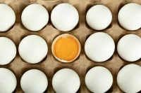 ФАС проверит торговые сети на предмет сговора при введении цен на яйца
