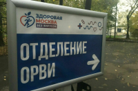 Попова: Подъем заболеваемости ОРВИ сойдет на нет к концу апреля