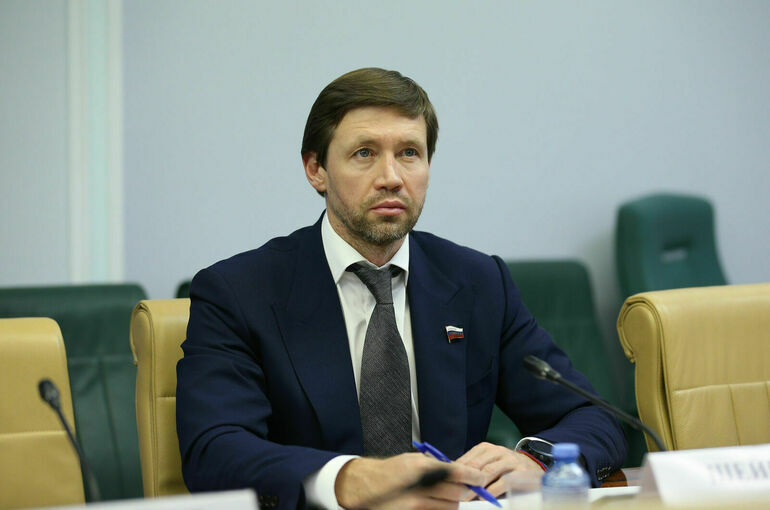 Сенатор Шейкин заявил о необходимости дать русский аналог термину «дипфейк»