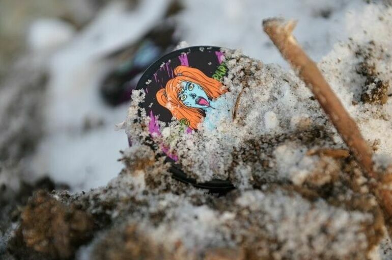 Производителей насвая и снюса обяжут указывать на упаковке их состав