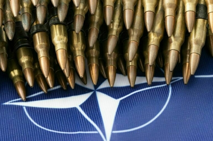 Страны НАТО создали совместную миссию на Украине