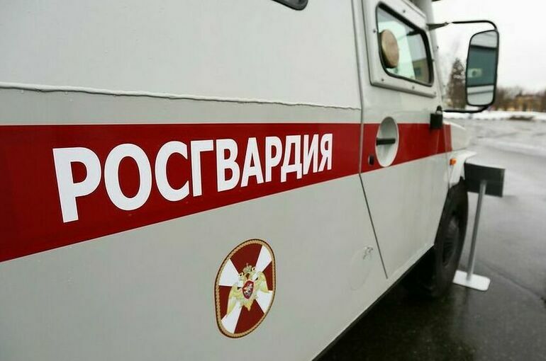 Росгвардейца, задержавшего напавшего на губернатора Чибиса, наградят