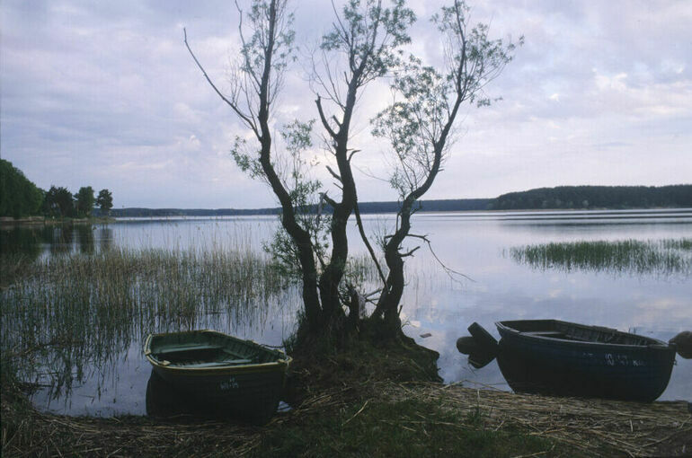 Гидрологи спрогнозировали выход из берегов озера Селигер