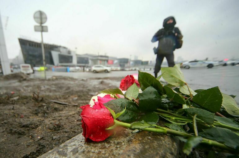 Автора постов о теракте в «Крокусе» внесли в перечень экстремистов