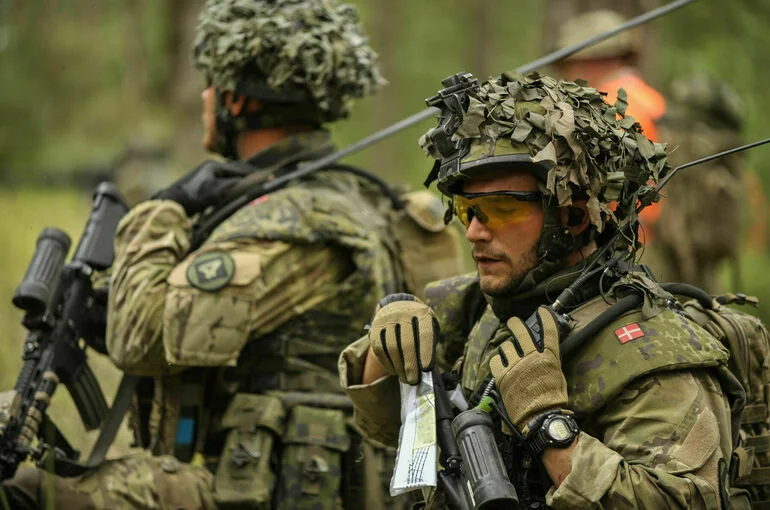 AFP: Армия Дании сильно истощена из-за помощи Украине