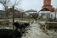 За сутки в Оренбуржье более 700 домов освободилось от воды