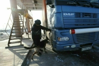 Время досмотра грузовиков  на границах России сократят в десятки раз