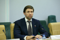 Сенатор Шейкин выступил за создание реестра импортируемых в РФ видеоигр 