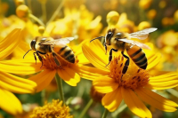 Пчел хотят защитить от ядохимикатов штрафами