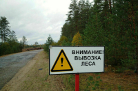 Сенатор Кувшинников заявил, что на лесоустройство не хватает финансирования