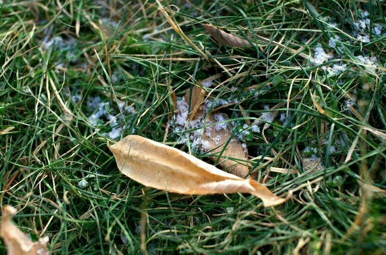 Вильфанд предупредил москвичей о похолодании и заморозках