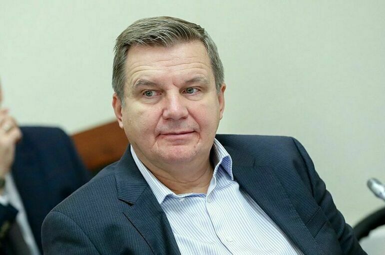 Депутат Ананских считает, что страны НАТО хотят «имиджево очернить» РФ
