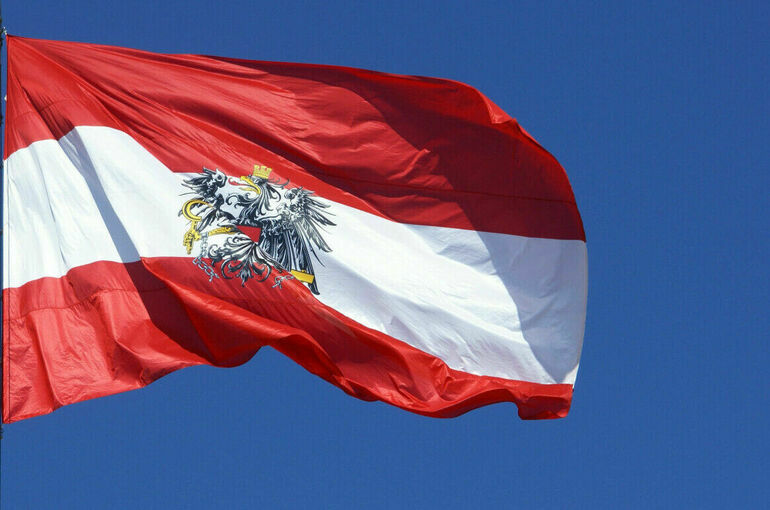 Австрия признала отсутствие эффекта от поставок оружия Киеву