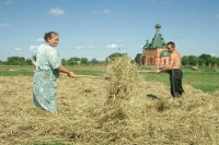 Вернуть людей в деревни и помочь с урожаем: чего ждут от форума «Труженики села»