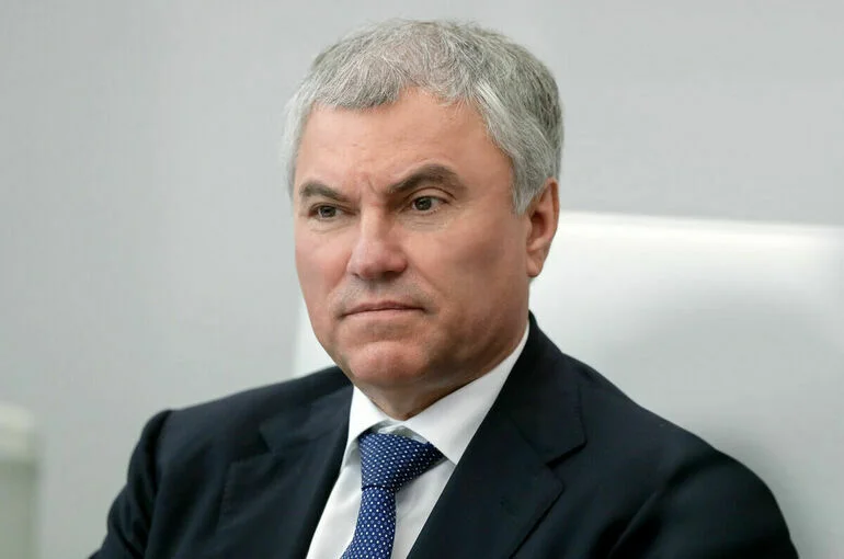 Володин назвал Голикову высочайшим профессионалом