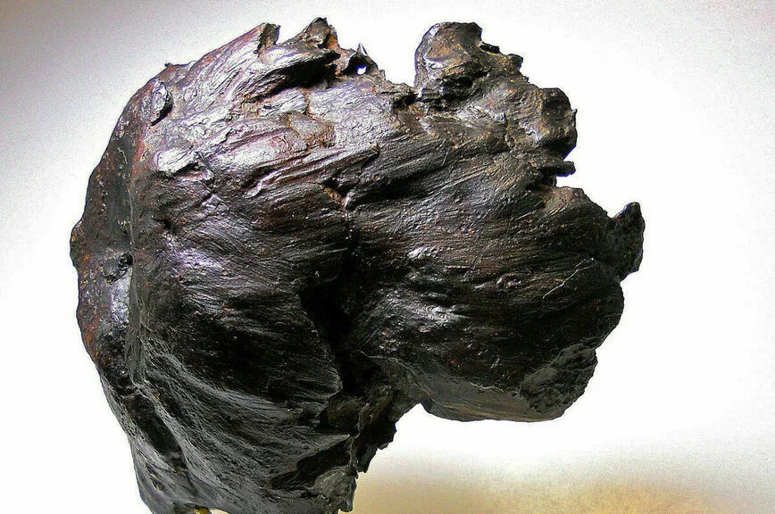 Фрагмент (3,3 кг) Сихоте-Алиньского метеорита.