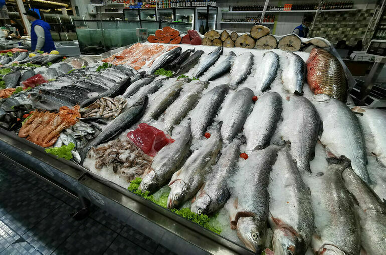 В Совфеде предложили субсидировать перевозки лосося, сельди и консервов