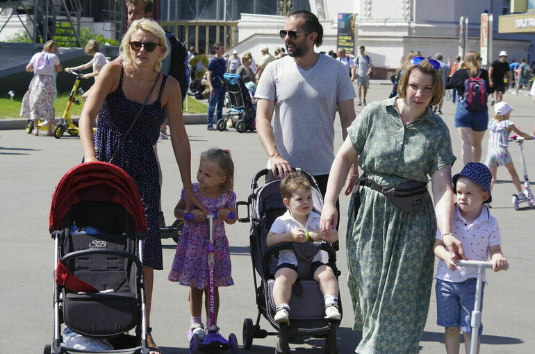 В ЛДПР предложили закрепить на федеральном уровне понятие «многодетная семья»