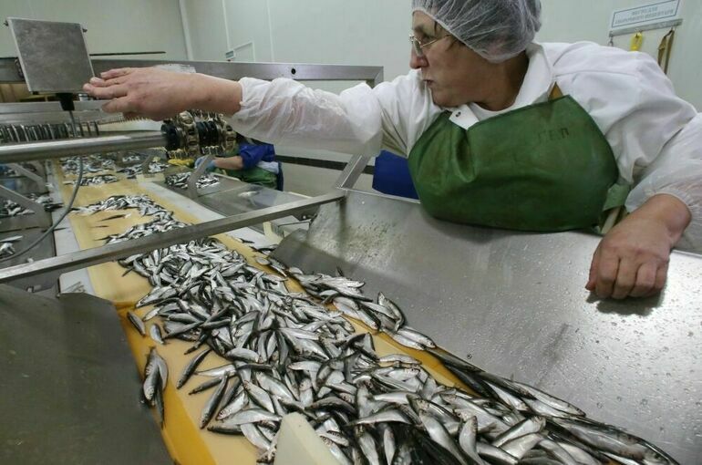 Размер сбора за добычу моллюсков и шпрот предложили уменьшить