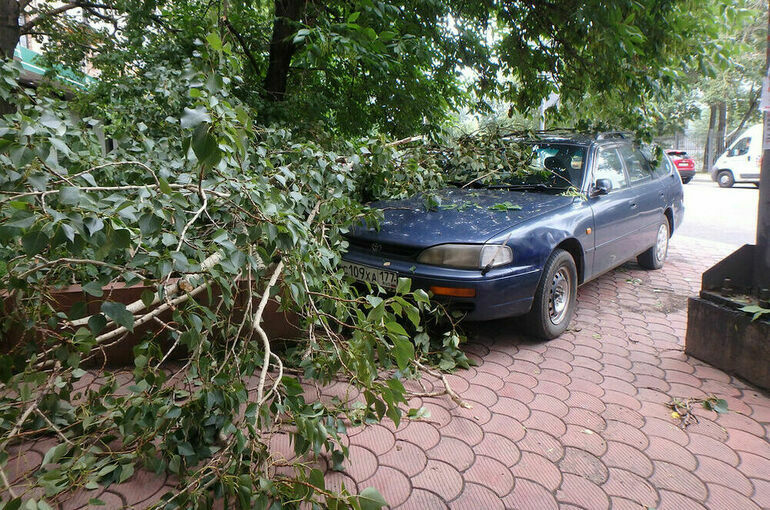 Два человека погибли в Москве из-за урагана