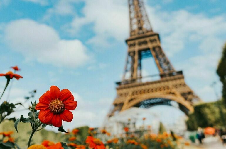 Сербский эксперт констатировал доминирование правых сил во Франции