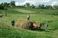Сельскими старостами разрешат становиться без прописки на селе