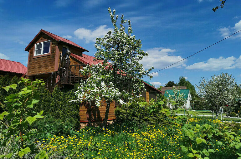 Срок начала освоения садовых участков предлагают ограничить тремя годами