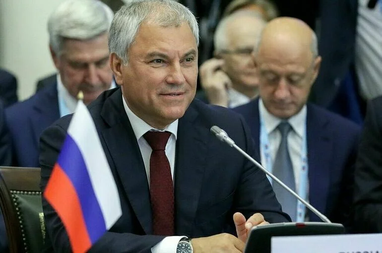Володин: БРИКС — возможность для многих стран самореализоваться
