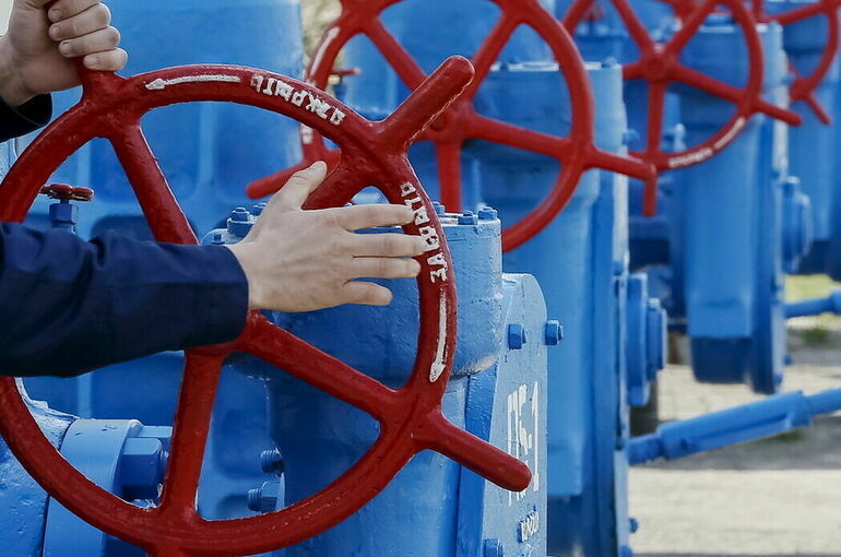 Парламентарии предложили урегулировать статус газораспределительных организаций