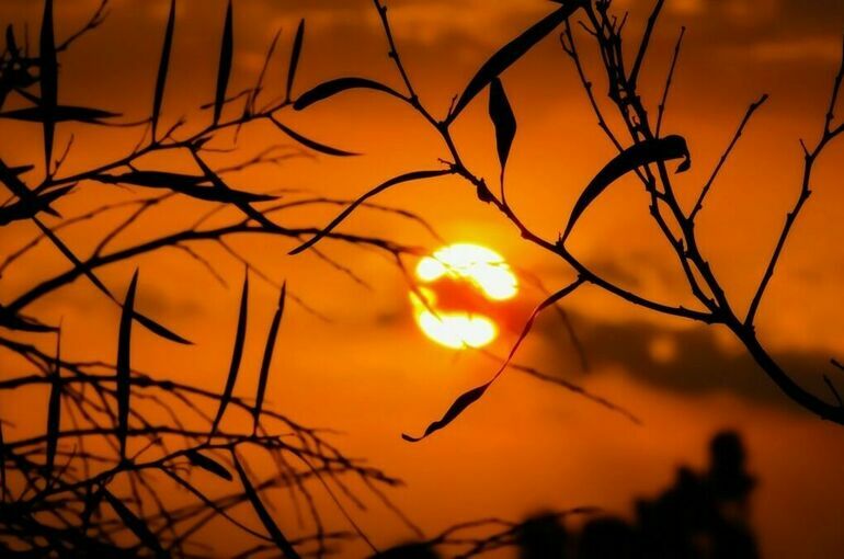 Ученые назвали регионы, которые станут непригодными для жизни из-за жары