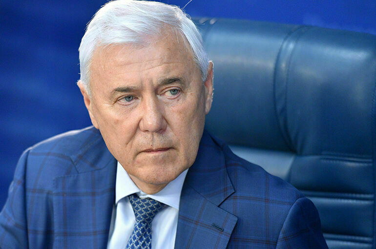 Депутат Аксаков объяснил, что будет с майнерами, ворующими электричество