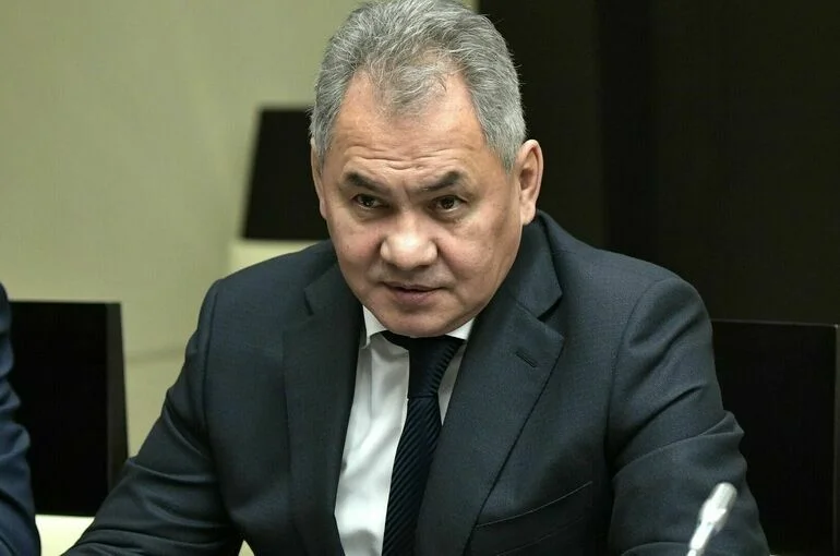 Шойгу в Тегеране обсудит вопросы глобальной и региональной безопасности