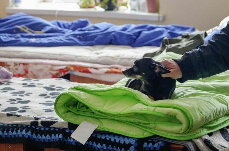 В Курской области развернули 21 пункт временного размещения