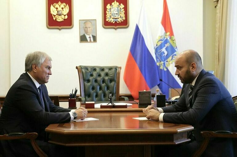 Володин встретился с врио губернатора Самарской области
