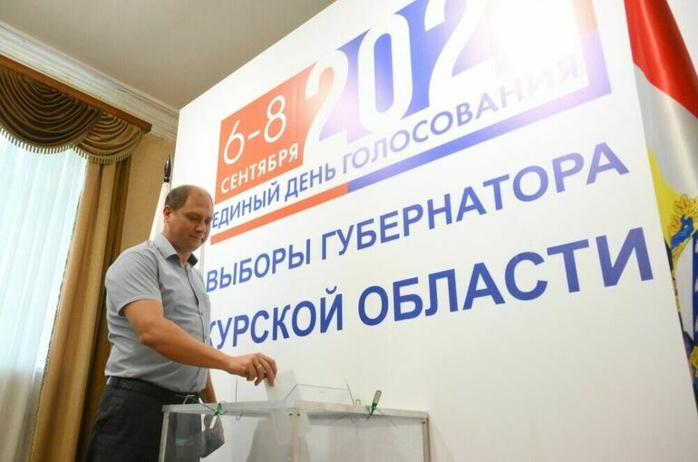 В Курской области в 2024 году отложили часть избирательных кампаний 