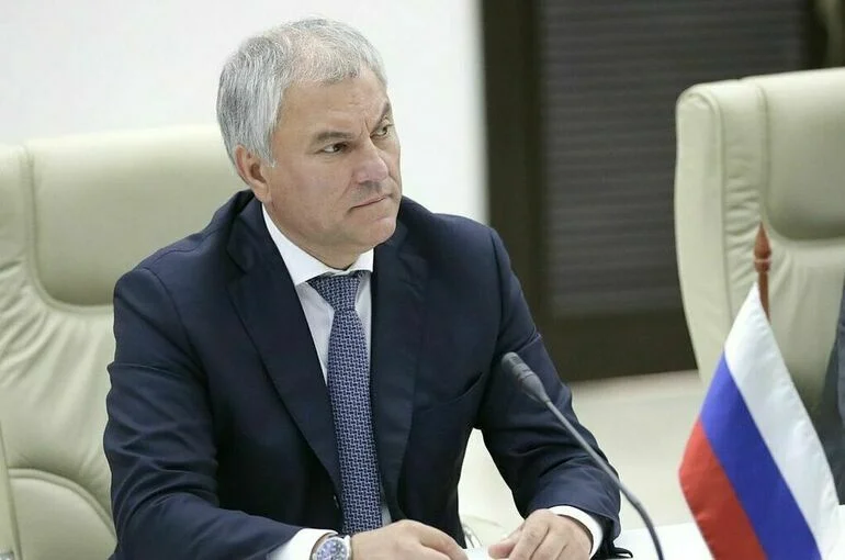 Володин предложил вьетнамским коллегам провести ряд мероприятий    