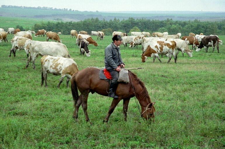 Матвиенко заявила о недопустимости «обезлюживания» сельских территорий