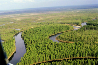 Два района ХМАО обеспечат льготами по программе «Гектар Арктики»