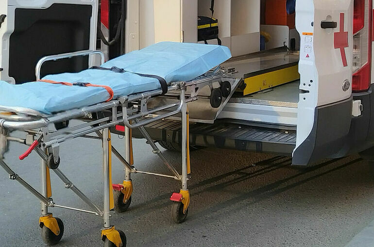 В Якутии умерла пострадавшая от нападения собак девочка