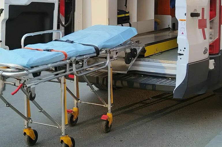 В Якутии умерла пострадавшая от нападения собак девочка